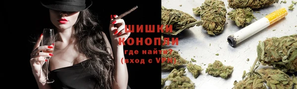 ГАЛЛЮЦИНОГЕННЫЕ ГРИБЫ Баксан