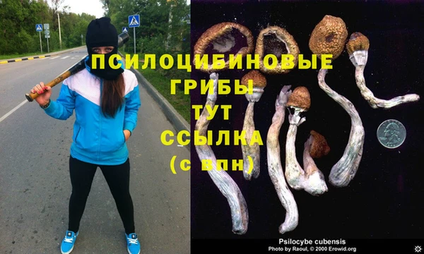 первитин Нягань