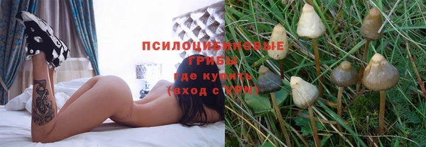 apvp Балахна
