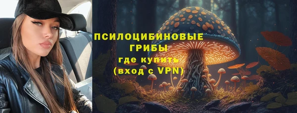 ГАЛЛЮЦИНОГЕННЫЕ ГРИБЫ Баксан