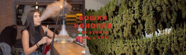 прущая мука Няндома