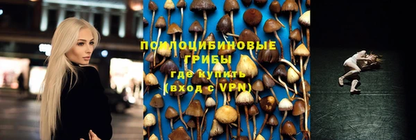 прущая мука Няндома