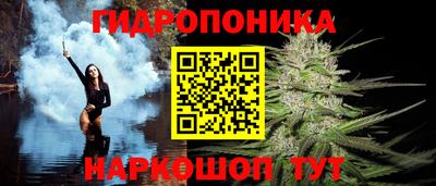 Альфа ПВП Обнинск