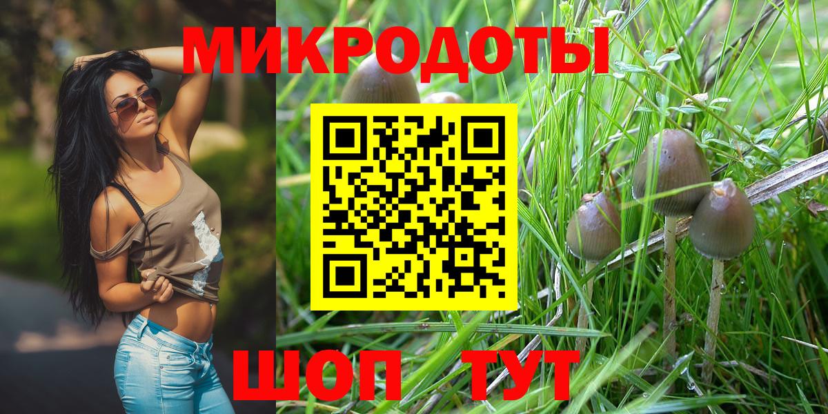 Галлюциногенные грибы Psilocybe Ульяновск